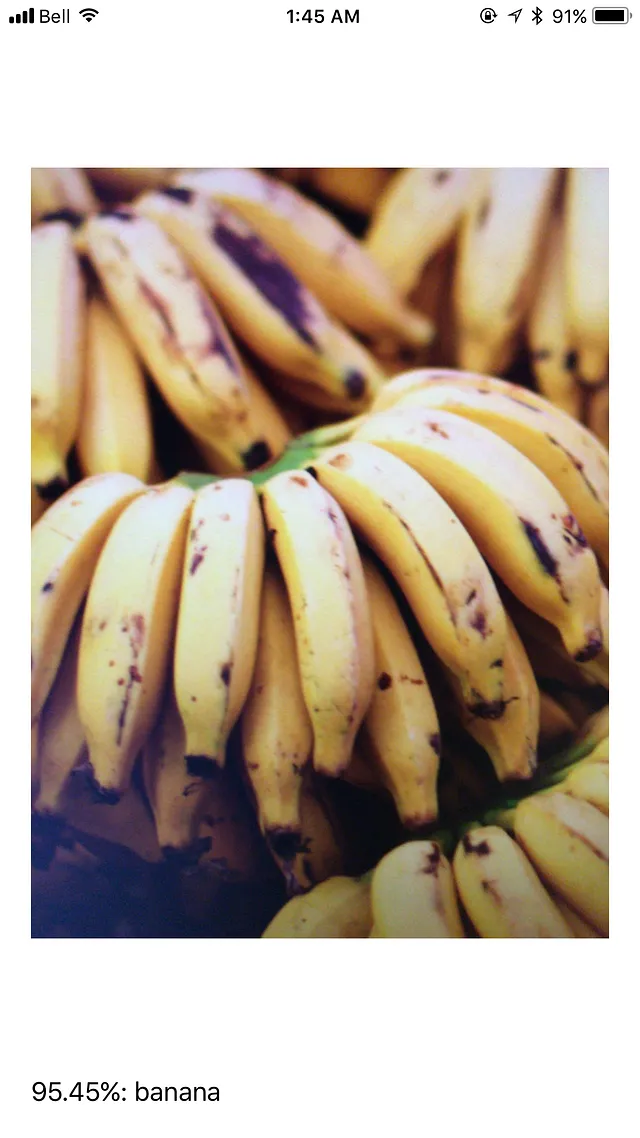 correctly recognizes an image of bananas